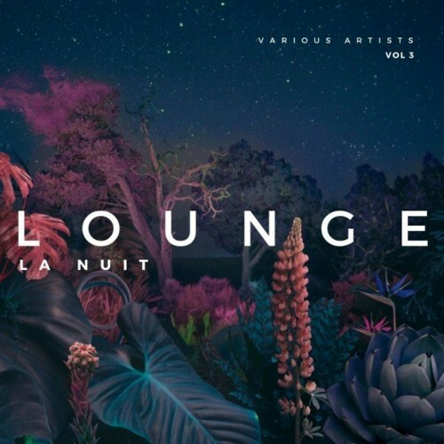 VA - Lounge La Nuit, Vol. 3 (2022) (MP3)