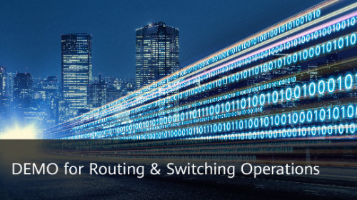 Huawei - DEMO For Routing&Switching Operations