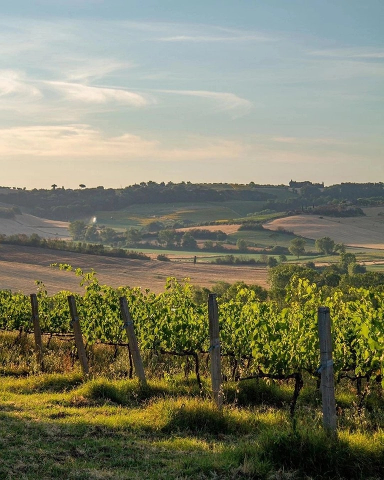 Plantaže, salaši, farme, voćnjaci, vinogradi... - Page 10 Db8ac8ea609b4739a90b7e3fb4490551