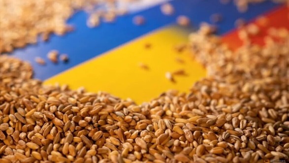 Украина направит местностям Африки и Азии 125 тысяч тонн зерна для гуманитарных поставок