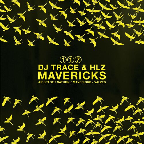 VA - DJ Trace & HLZ - Mavericks EP (2022) (MP3)