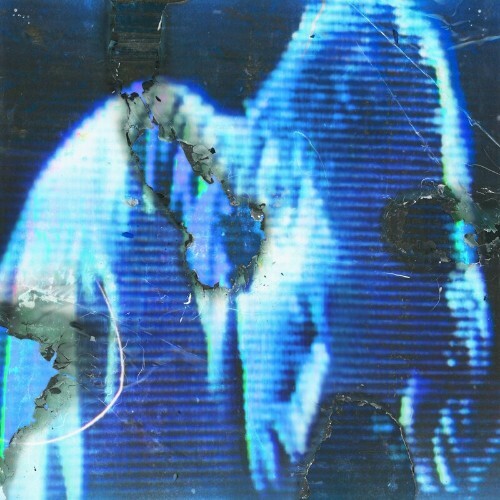 VA - Buzz Kull - Fascination (2022) (MP3)