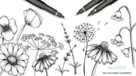 Intro To Floral Illustration : How To Draw Wildflowers