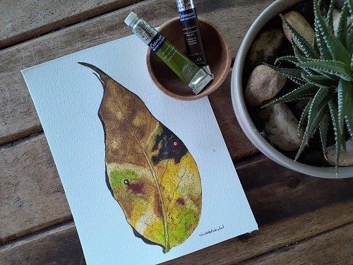 Drawing & Painting Made Easy How To Draw & Paint A Leaf In Watercolor