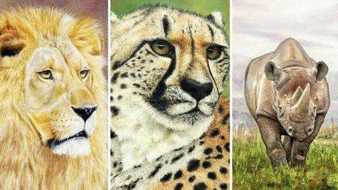 How To Draw Wild Animals Vol 4 - Lion, Rhino And Cheetah