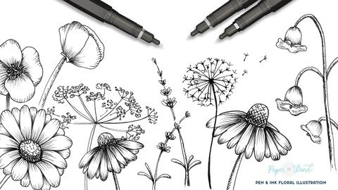 Intro To Floral Illustration  How To Draw Wildflowers