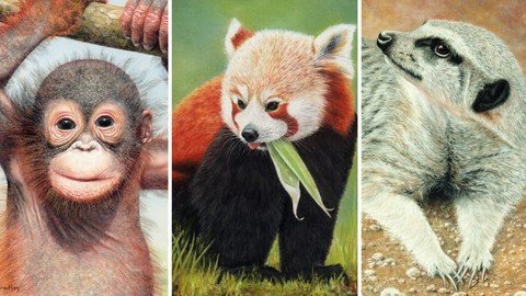 How To Draw Wild Animals Vol 6 – Panda, Orangutan & Meerkat