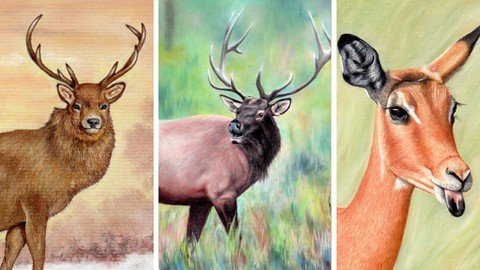 How To Colour An Elk, Stag And Impala  Pastel Pencil Course