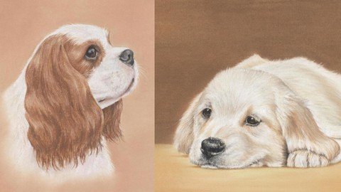 Colouring Dogs For Beginners  Just 8 Pencils!