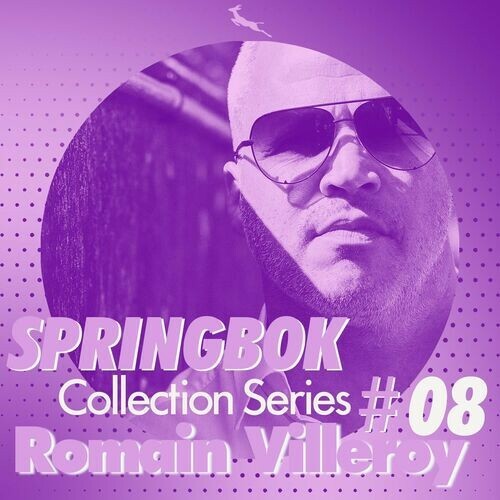 VA - Romain Villeroy - Springbok Collection Serie, Vol 08 Romain Villeroy (2022) (MP3)