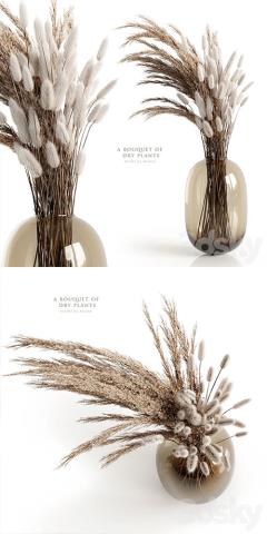 A bouquet of dry plants 3D Models