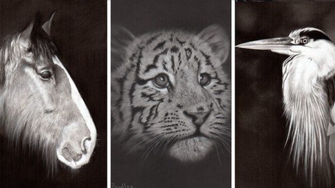 Draw Wild Animals In Black And White  4 Pencils  Vol 2