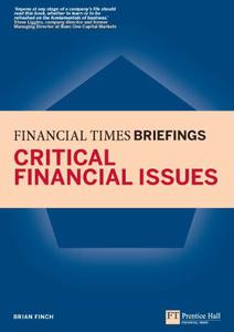 Critical Financial Issues Financial Times Briefing (Repost)