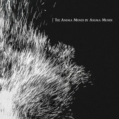 VA - Anima Mundi - The Anima Mundi (2022) (MP3)