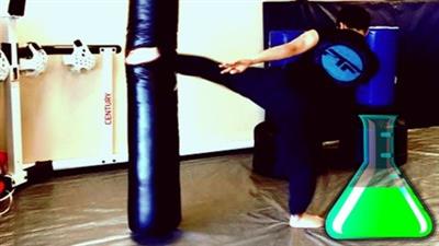 Ultimate Taekwondo Kicking Martial Arts Self Defense  Lab 2b6130e2c977c19701eac58c54bad225