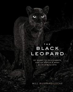 The Black Leopard My Quest to Photograph One of Africa's Most Elusive Big Cats