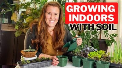 How To Grow Vegetables Indoors Using  Soil E108ae17d130ac744374434ec12bf16c