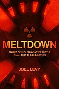 Meltdown Nuclear disaster and the human cost of going critical