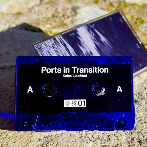 Kalas Liebfried - Ports in Transition (2022)