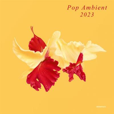 VA - Pop Ambient 2023  (2022)