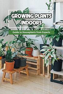 Growing Plants Indoors Guide to Houseplants from Experts