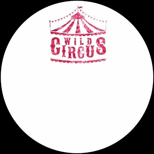 VA - Julien Sandre & Gari Romalis & Lello Di Franco - Wild Circus 01 (2022) (MP3)