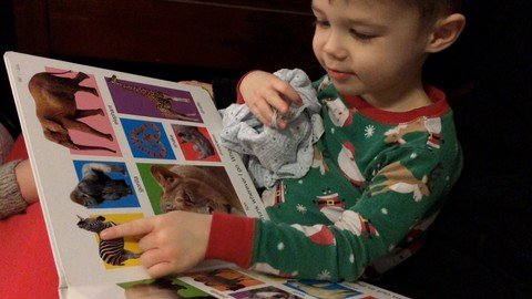 The Power Of Reading Picture Books To Young Children