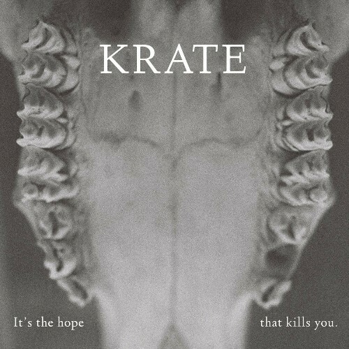 VA - It's The Hope That Kills You (2022) (MP3)
