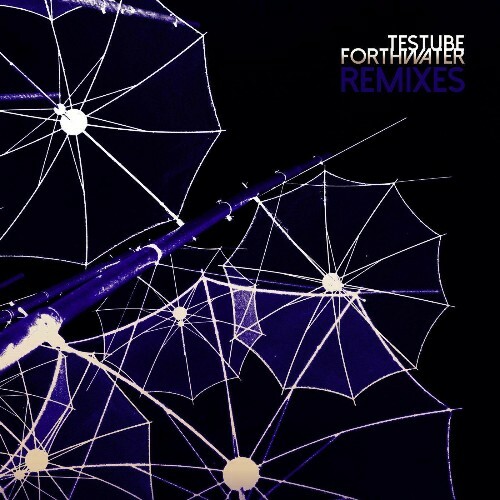 VA - Testube - Forthwater (Remixes) (2022) (MP3)