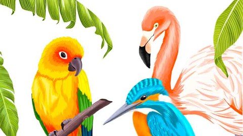 Procreate – Illustrate Tropical Birds