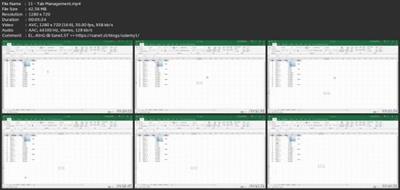 Microsoft Excel - From Basic To Moderate  Level Faa5cb9b4b87ef435a753b28d0d257c9