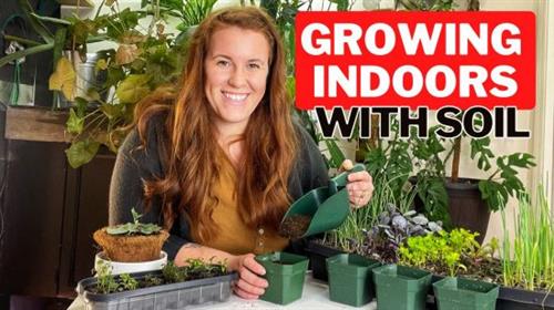 How To Grow Vegetables Indoors Using Soil