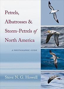 Petrels, Albatrosses, and Storm-Petrels of North America A Photographic Guide