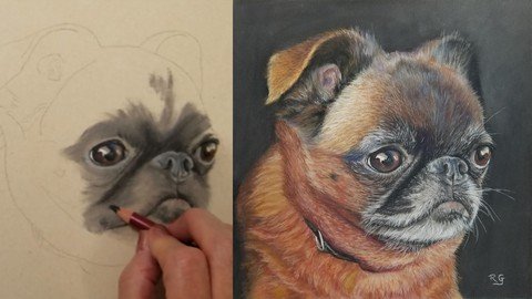 Draw And Paint A Pet Portrait Accurately