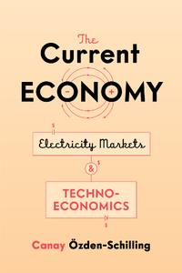 The Current Economy  Electricity Markets and Techno-Economics