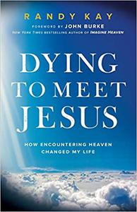 Dying to Meet Jesus How Encountering Heaven Changed My Life