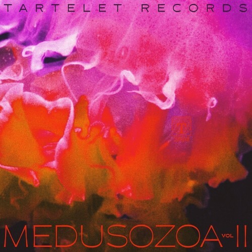 Medusozoa Vol II (2022)