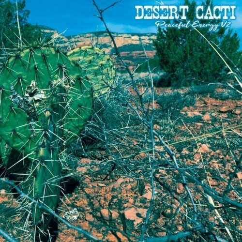 Desert Cacti: Peaceful Energy V2 (2022)