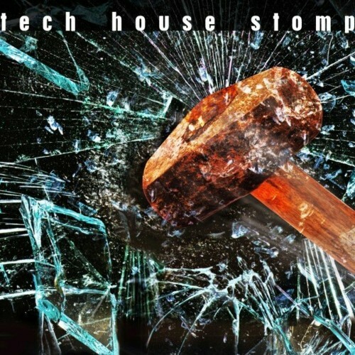 Tech House Stomp (2022)