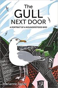 The Gull Next Door A Portrait of a Misunderstood Bird