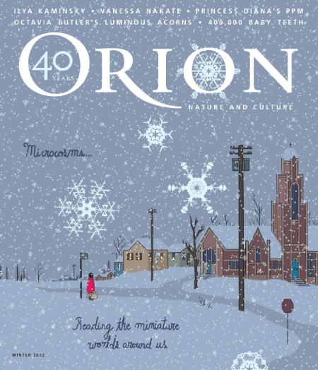 Orion – 11 November 2022