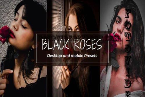 7 Black Roses Lightroom Presets