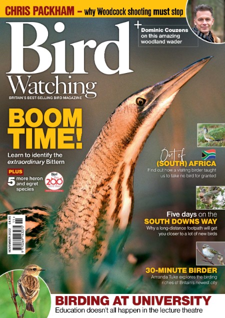 Bird Watching UK - November 2022