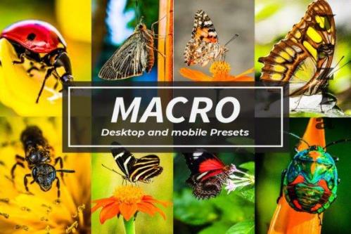 14 Macro HDR Lightroom Presets