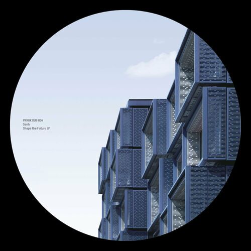 VA - Senh - Shape the Future LP (2022) (MP3)