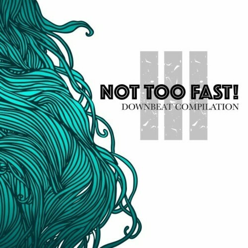 VA - Not Too Fast! 3: Downbeat Compilation (2022) (MP3)