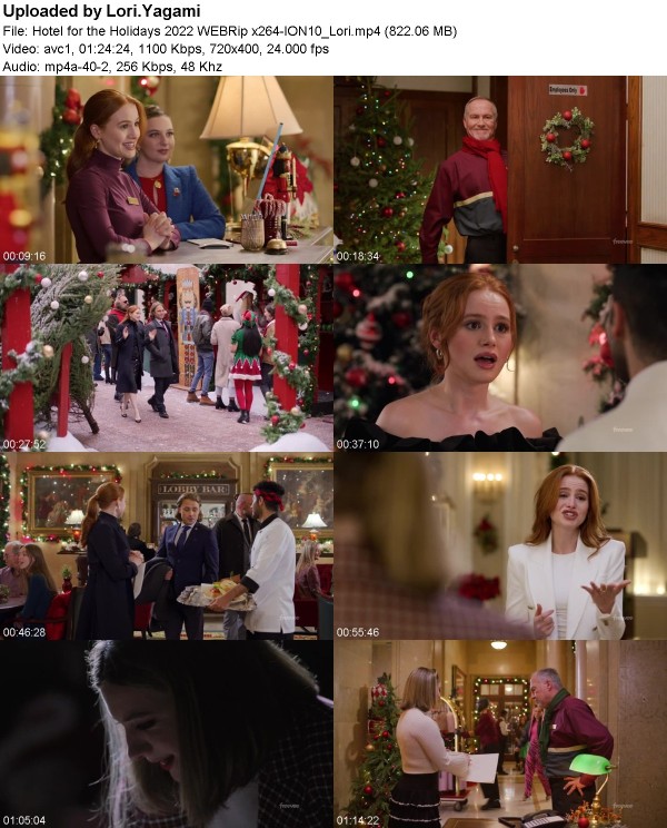 Hotel for the Holidays (2022) WEBRip x264-ION10