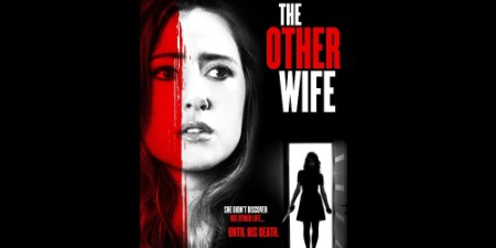 The OTher Wife 2016 1080p WEBRip x265-RARBG
