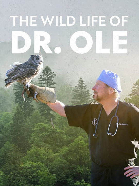 Doktor Ole i świat zwierząt / The Wild Life of Dr. Ole (2021) [SEZON 1] PL.1080i.HDTV.H264-B89 | POLSKI LEKTOR