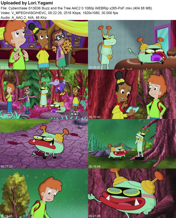 Cyberchase S13E06 Buzz and the Tree AAC2 0 1080p WEBRip x265-PoF